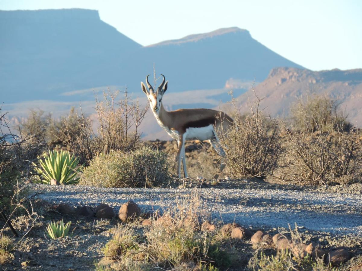Teri-Lemveli Lodge Beaufort West Εξωτερικό φωτογραφία