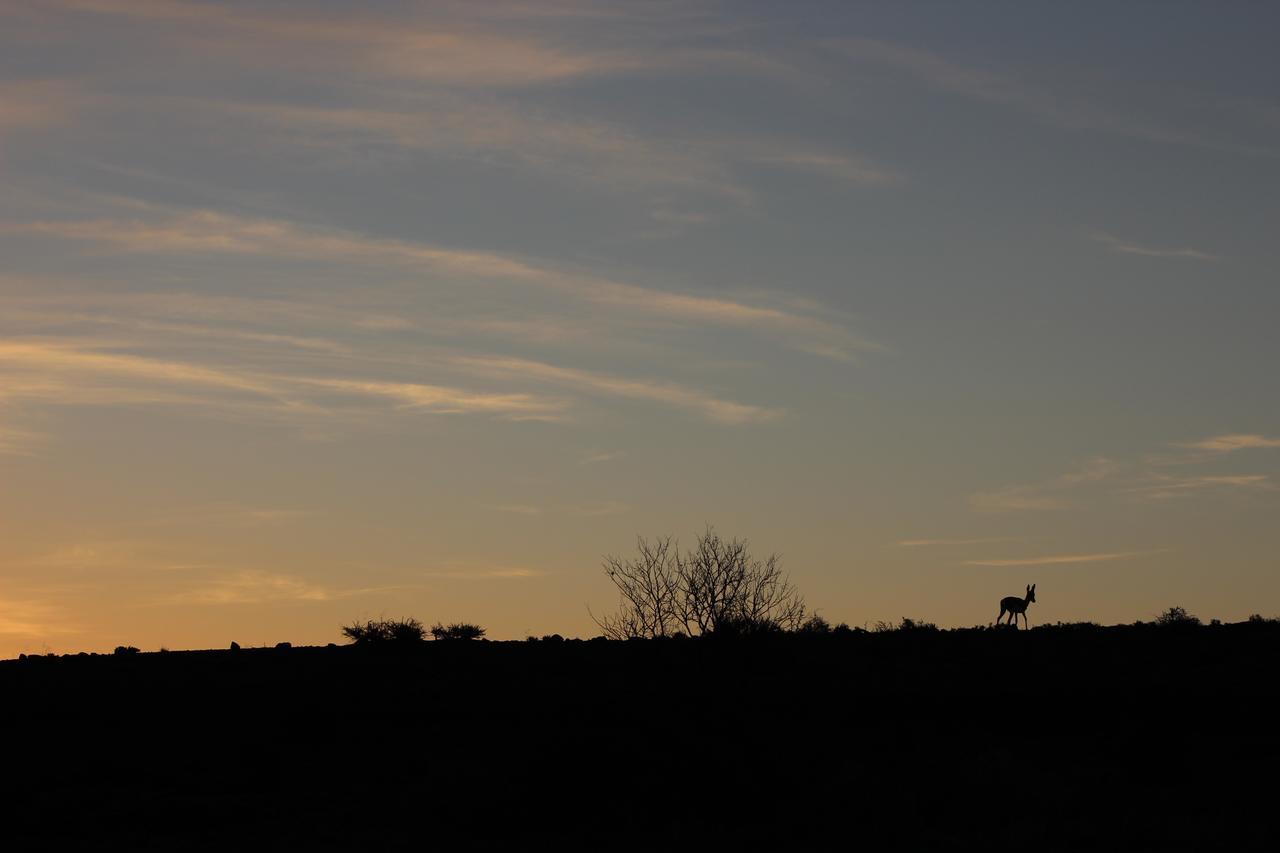 Teri-Lemveli Lodge Beaufort West Εξωτερικό φωτογραφία