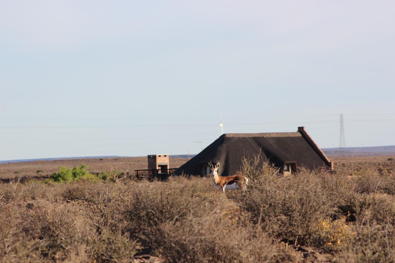 Teri-Lemveli Lodge Beaufort West Εξωτερικό φωτογραφία