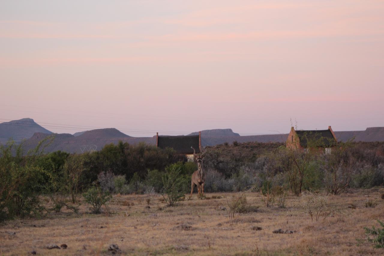 Teri-Lemveli Lodge Beaufort West Εξωτερικό φωτογραφία