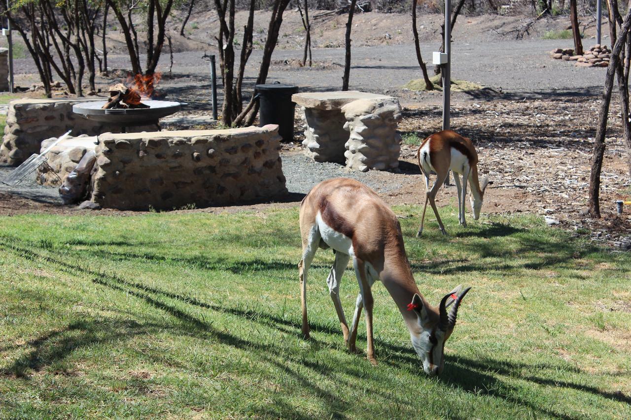 Teri-Lemveli Lodge Beaufort West Εξωτερικό φωτογραφία